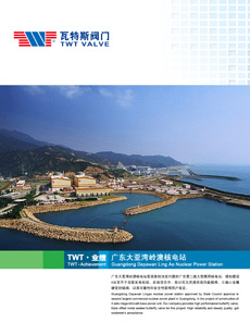 業(yè)績梗概